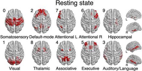 First largest eight modules as found by Surprise optimization in resting state human network