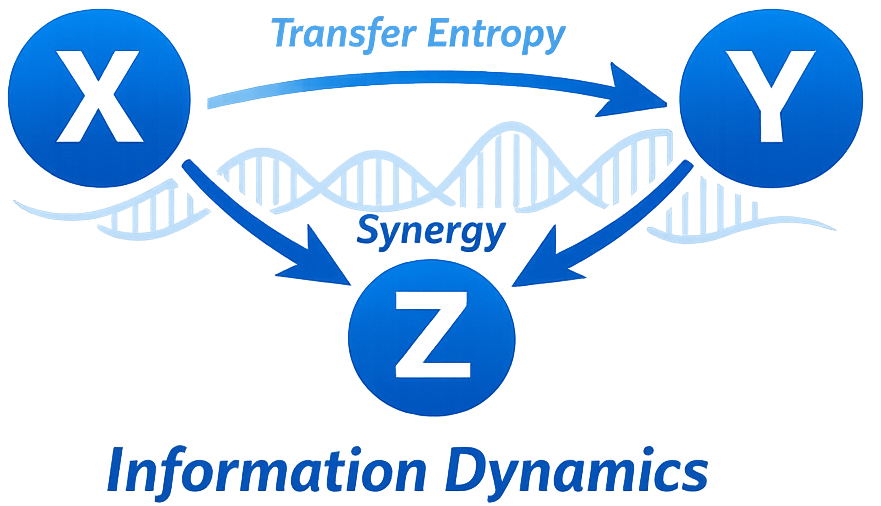 xyz project illustration
